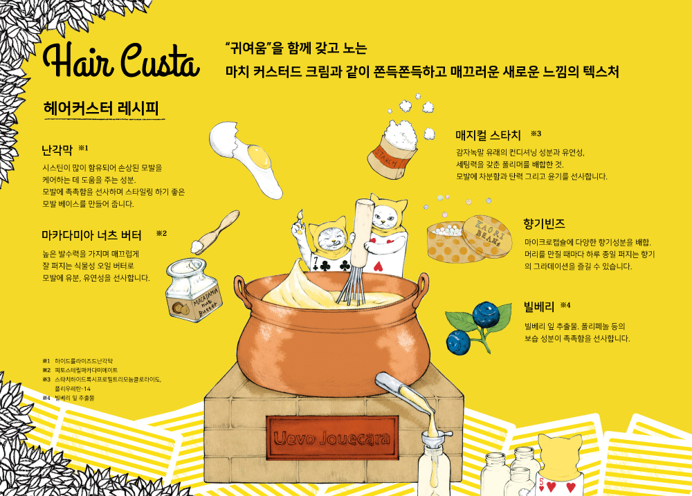 DEMI:데미코리아