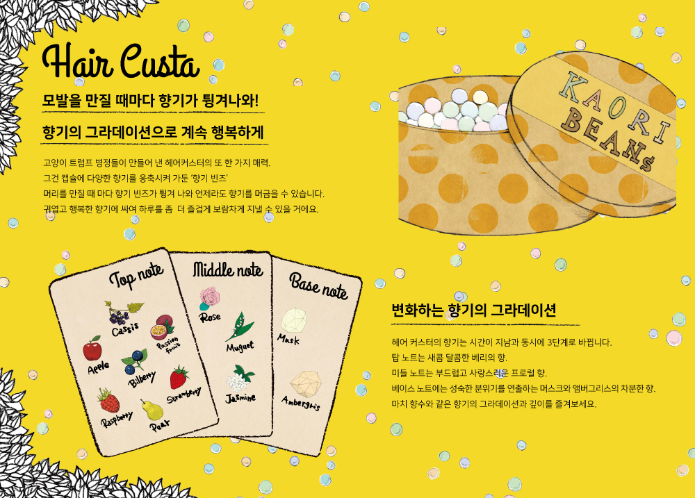 DEMI:데미코리아